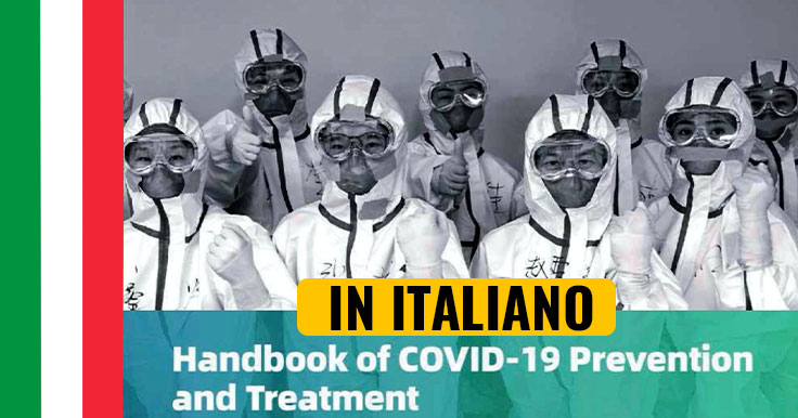 Handbook of covid 19 prevention in italiano
